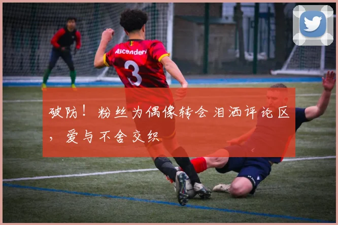 破防！粉丝为偶像转会泪洒评论区，爱与不舍交织